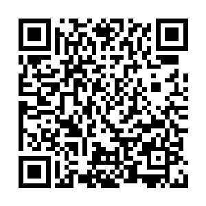 那他将这两枚果子炼化成法宝又有何稀奇之处呢二维码生成