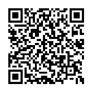 那似乎还是自己刚刚从青年队进入一线队的时候二维码生成