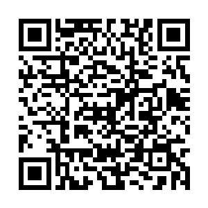 那伽总坛立即派遣部分人回到大千世界的大地之上二维码生成