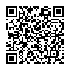 那再让我瞧瞧……你们对身上没有伤口的活物会有反应吗……二维码生成