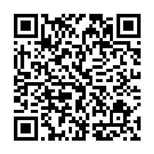 那凄惨的叫声把贺师兄和黑痣青年都给惊吓的清醒过来二维码生成