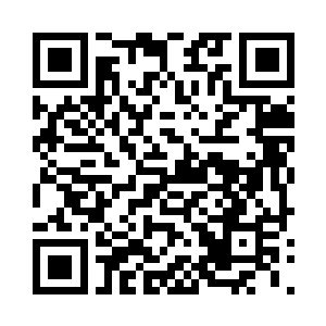 那几名六鼎一阶的高手也是直接跪在了地上二维码生成