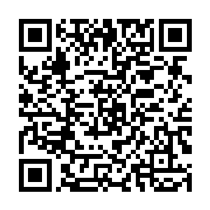 那几家都被牢狱里发出的鬼哭狼嚎给惊扰得无以复加二维码生成