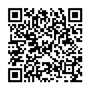 那副八龙图靠的完全就是小胖和他进行心灵交流后二维码生成