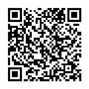 那原本就被张邪和熊孩子联手重创的丧尸巨蟒终于支撑不住二维码生成