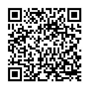 那原本让流墨墨和颜洛儿还未来得及抽出手处理的满目银丝光二维码生成