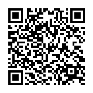 那只由龙灵扩脉液形成的鸟突然发出一道尖锐的叫声二维码生成