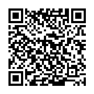 那只留下一个背影给我的赵半仙此刻已经裸露着上身二维码生成