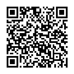 那只金钱豹远远地透过猴群对着石猴露出诡异的笑容二维码生成