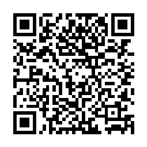 那可怕的拳劲和石化力量也严重伤害了他的身体和内脏二维码生成