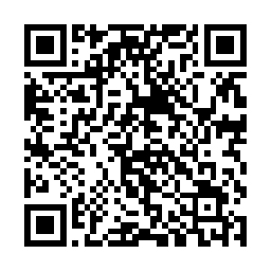 那可是全天下金丹真人之中最顶尖的存在争夺的地方二维码生成