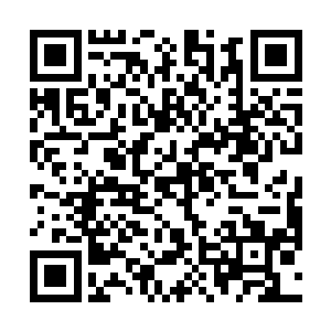 那可是欢喜在担任村长的时候一分钱一分钱积攒下来的二维码生成