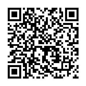 那名仙帝后期的高手竟然硬生生的被龙傲天轰成了血雾二维码生成