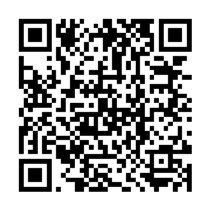 那名法则之力破十万点的高手直接挡住了彩色的羽毛二维码生成