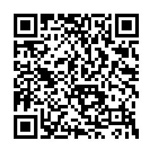 那名黑暗叶秋在进攻时根本就是一种绝对的碾压二维码生成