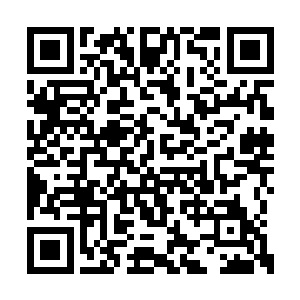 那圣婴大王见夏云杰竟然空手便擒拿住两条火龙二维码生成