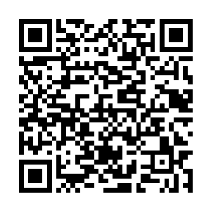 那堵蕴含着浩瀚力量的土黄色世界似乎不再排斥他二维码生成