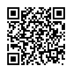 那头围着捣蛋鬼妈妈的小虎鲸是玩心大起二维码生成