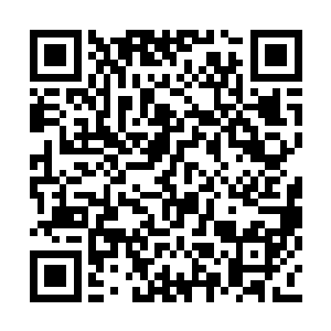 那头巨虾兽以及两头双头兽连忙向两边飞退开来二维码生成