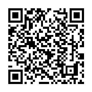 那妖兽好似看到抢它地盘的人一样怒视着年轻修士二维码生成
