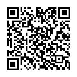 那妖王身体内即时被强迫涌出大量浓郁到极致的妖气二维码生成