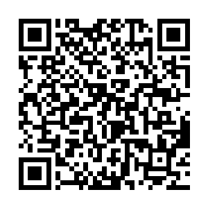 那孩子般的阳光笑容这才让莱昂纳多也勾勒起了笑容二维码生成