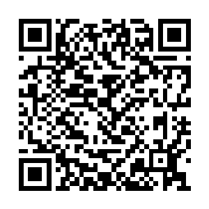 那宛如雕像的漆黑恶鬼如同死物一般被丢出老远二维码生成