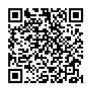 那就是在这一片原本应该没有人出现的山区中找到一个人二维码生成