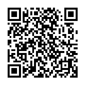 那就是将上一次进入秘境后离开的前辈们所记录下来的宝物收取二维码生成