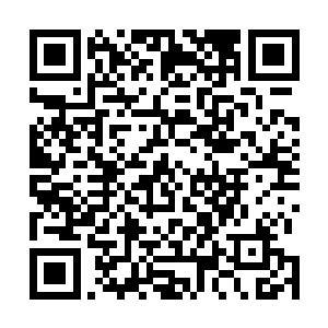 那就是纯粹的傻逼了……现场就有不少人心里是这样想的二维码生成