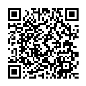 那就证明你已经做好了跟最牛逼的片子对面硬抗的心理准备了二维码生成
