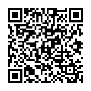 那岂不是让自己隔三差五的和特纳分享一下经验么二维码生成