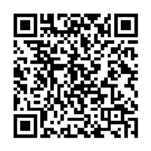 那巨无霸一样的黑影给人一种极强的压抑和心悸之感二维码生成