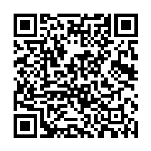 那庞大身形下恐怖的身手已经结结实实地惊骇了众人二维码生成