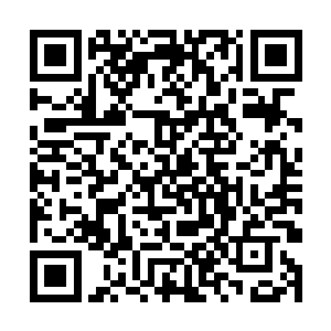 那恐怕自己几人最终也只会落得和鲁长老一样的下场二维码生成