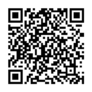 那情形就和爬到星果树的树顶用力摇晃树梢的效果一模一样二维码生成