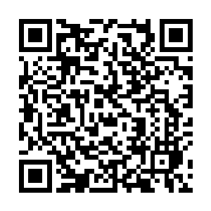 那指甲上暴露出来的小问题便被凤羽珩收尽了眼底――二维码生成