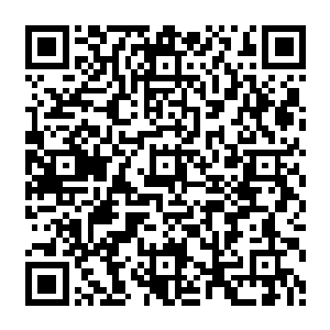 那是……那是……罗师兄和我的孩子……罗师兄给他取的名字……叫……怀……怀玉……二维码生成