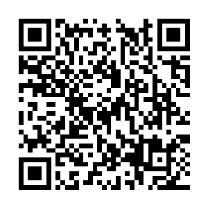 那是一条遍布细密乌黑鳞片的蛇身蛟首的怪物妖魔二维码生成