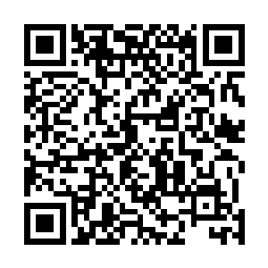 那是你年龄太小了……那你说说如今究竟是谁再统领人族二维码生成