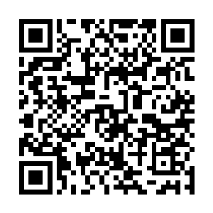 那是因为它能够缓缓吸收天地间日月灵气而储存在其中二维码生成