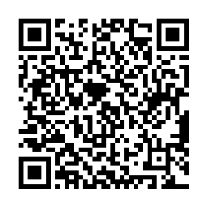 那是绝不可能・另外有没有仙术直接通过此魂灯作用于人二维码生成