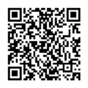 那更是实力强横无比的巅峰存在……秦方的小龙便属于纯血龙族二维码生成