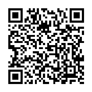 那木萦自然是会收下这份重礼并感谢杜师兄的慷慨的二维码生成