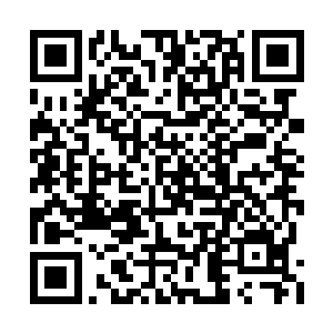 那本来并没有什么情绪的眼神变得丰富多彩起来二维码生成