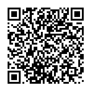 那条蟒蛇从他的身体之中爬出来过后便是在地面上跟着他一起爬了过来二维码生成