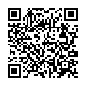 那模样竟然与风暮寒当初送给她的那只……一模一样二维码生成