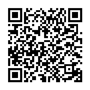 那淡雅的笑容在餐厅并不明亮的灯光里朦胧着一层光晕二维码生成