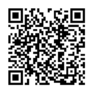 那火龙竟然散发着一丝丝仙婴期天仙方才有的气息二维码生成