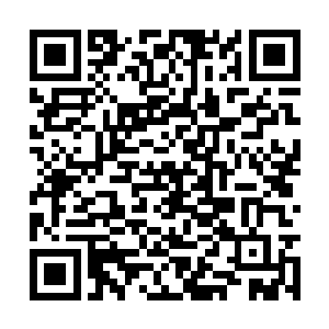 那片一望无垠据说春天时会开满紫色花朵的山坡上二维码生成